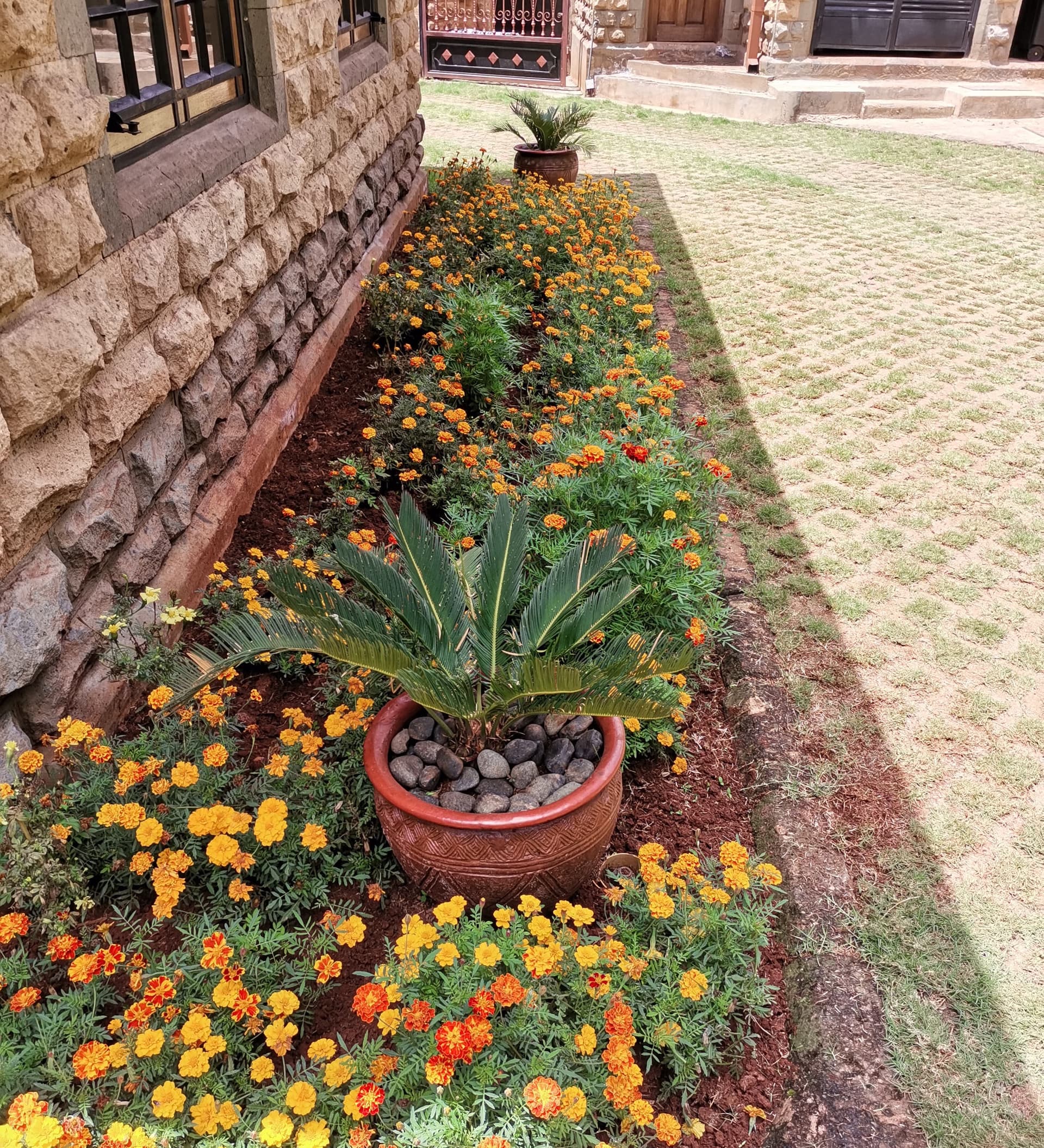 Lawn Care & Services